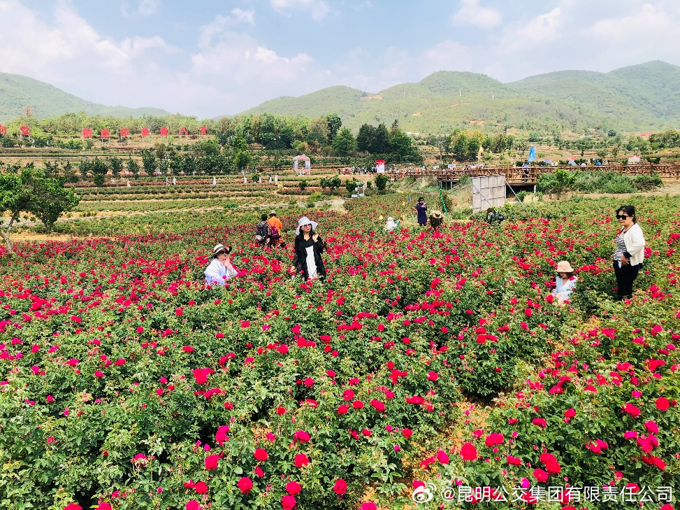 昆明公交集团有限责任公司