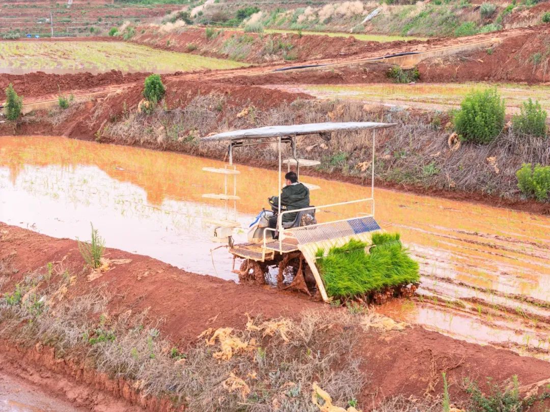 晋宁 诗意的栖居地