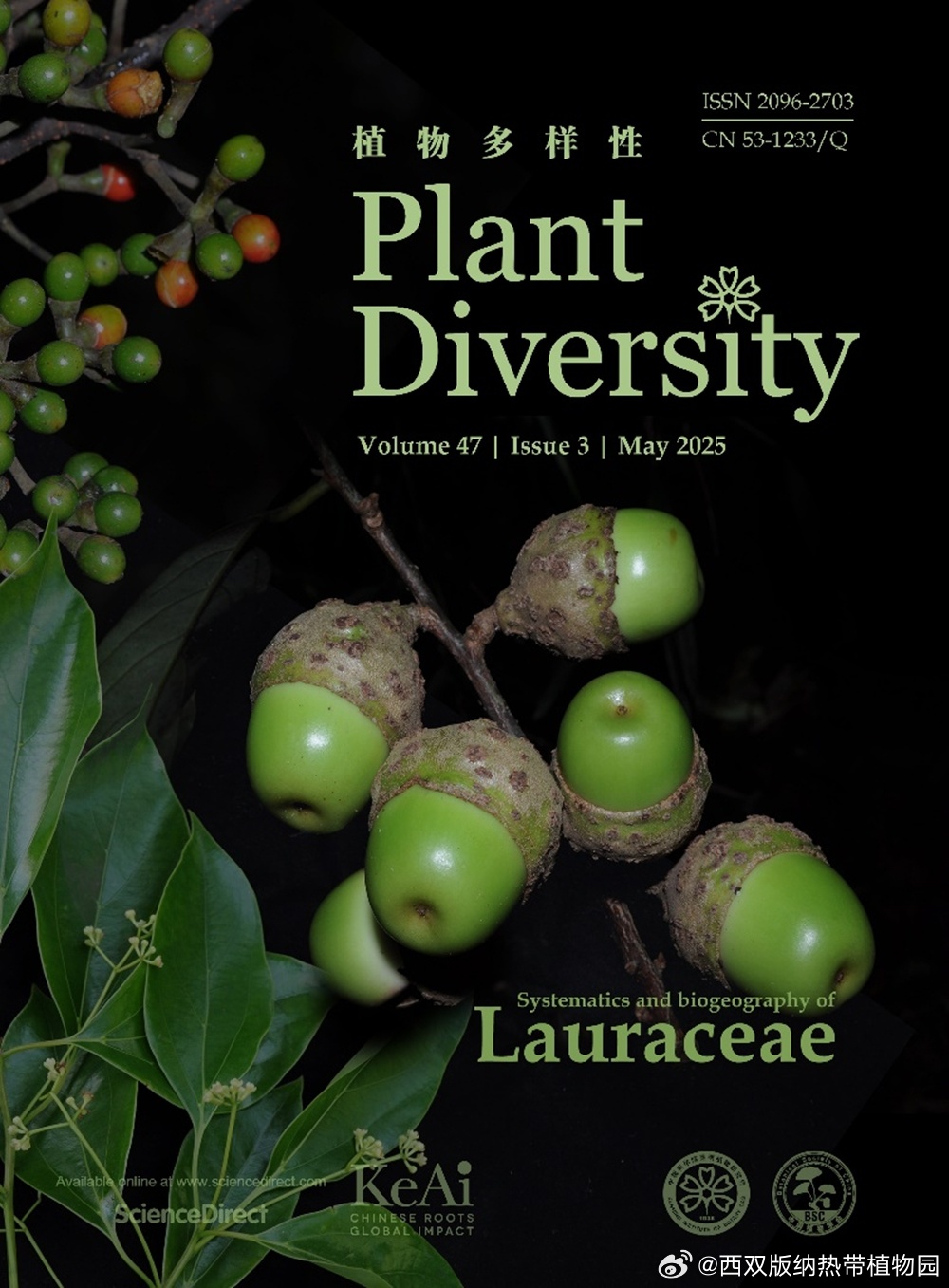 西双版纳热带植物园