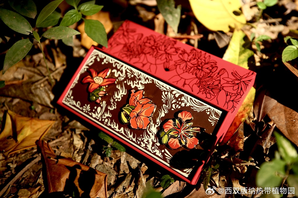 西双版纳热带植物园