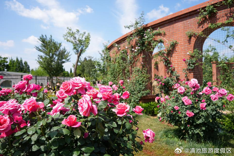 滇池旅游度假区