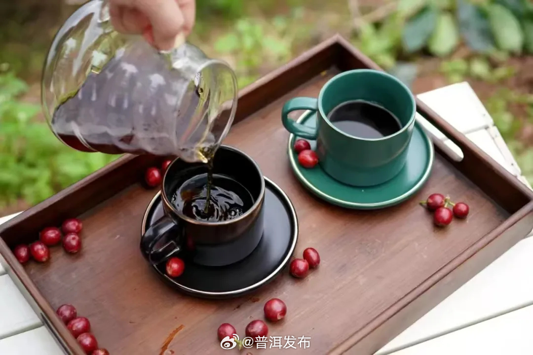 以节为媒 以咖会友！普洱咖啡在上海国际咖啡文化节火热出圈