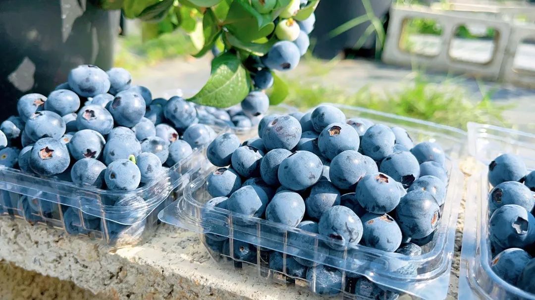 昆明阳宗海风景名胜区