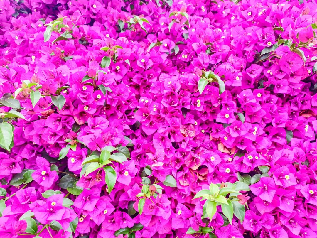 晋宁 诗意的栖居地