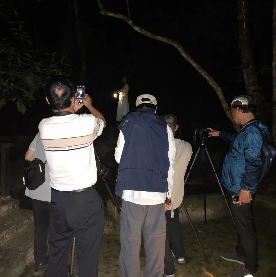 西双版纳望天树景区