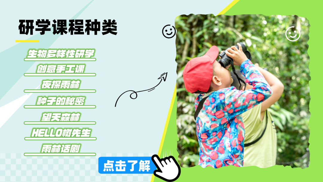 西双版纳望天树景区