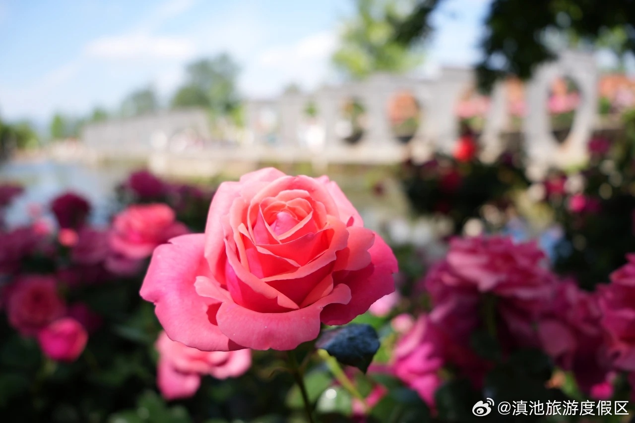 滇池旅游度假区