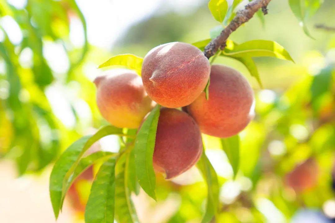 晋宁 诗意的栖居地