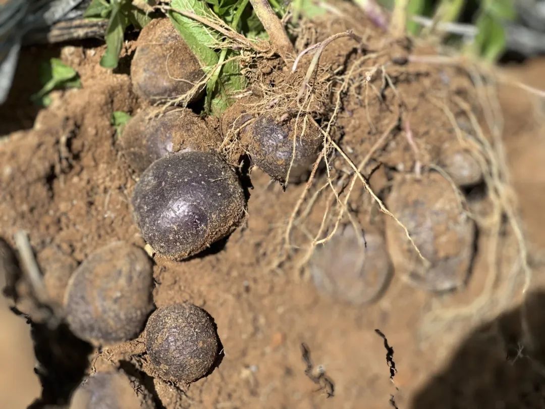 晋宁 诗意的栖居地