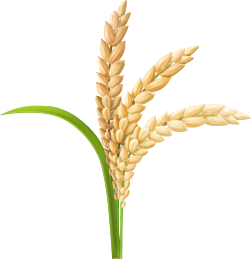 晋宁 诗意的栖居地