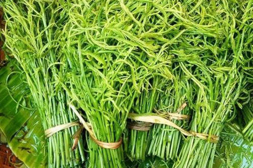 昆明市中医医院