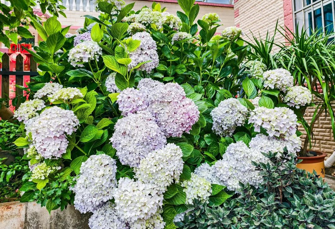 晋宁 诗意的栖居地