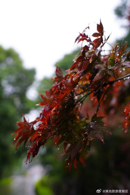 滇池旅游度假区