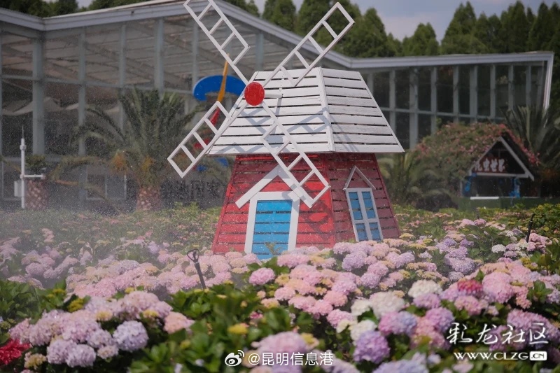 昆明信息港微博