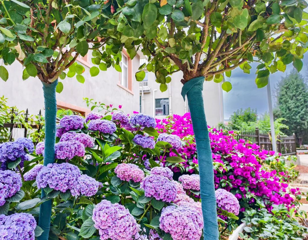 晋宁 诗意的栖居地