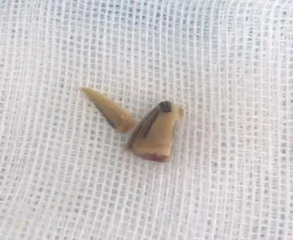 昆明市儿童医院