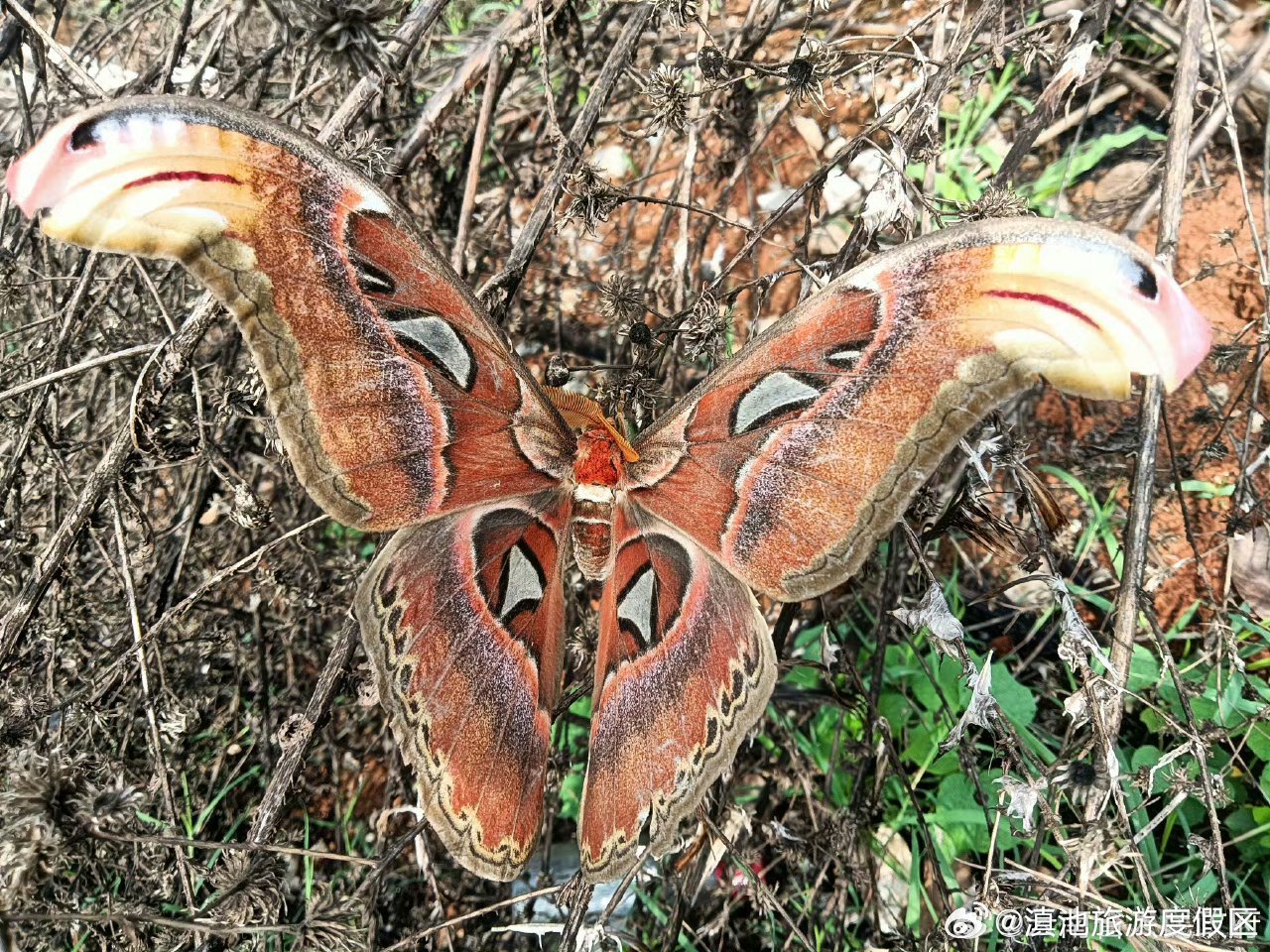 滇池旅游度假区