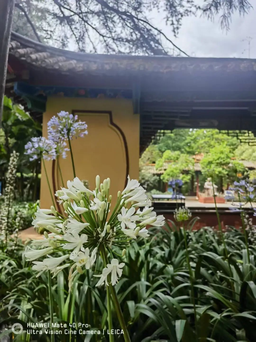 昆明市昙华寺公园