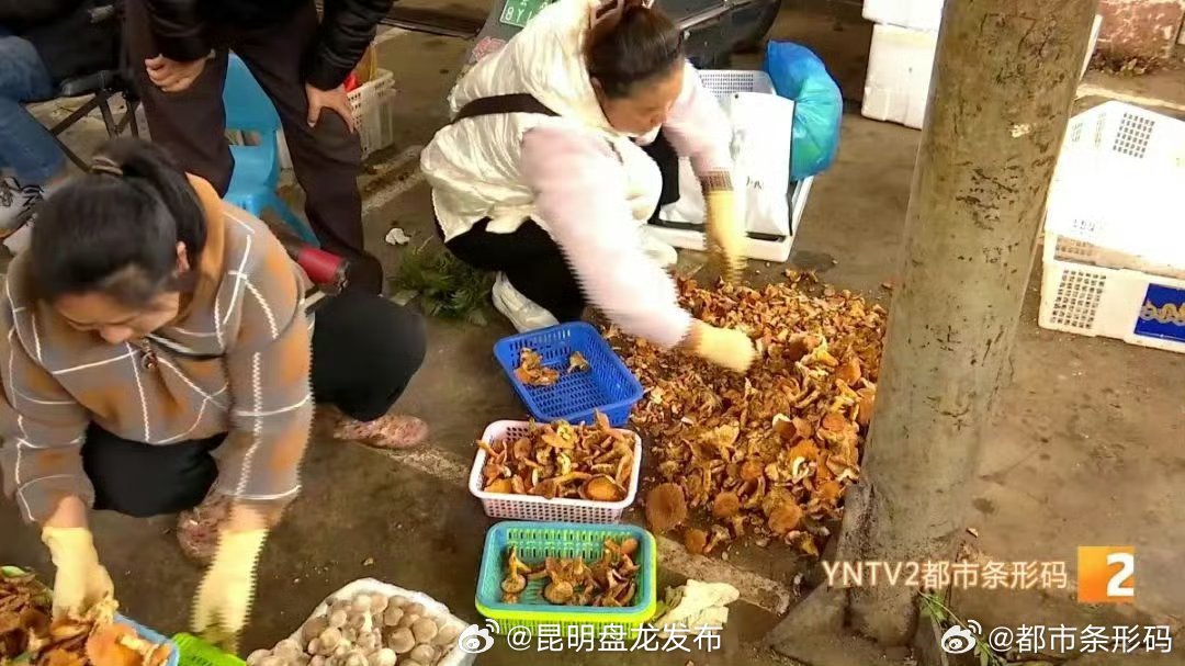 昆明盘龙发布