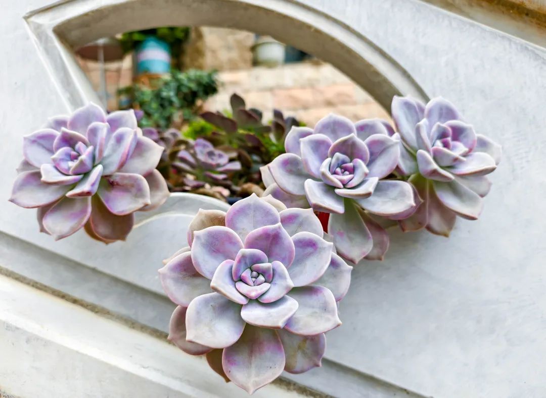 晋宁 诗意的栖居地