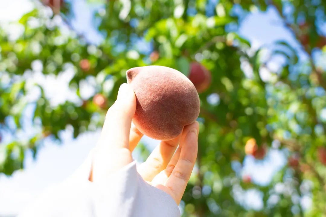 晋宁 诗意的栖居地