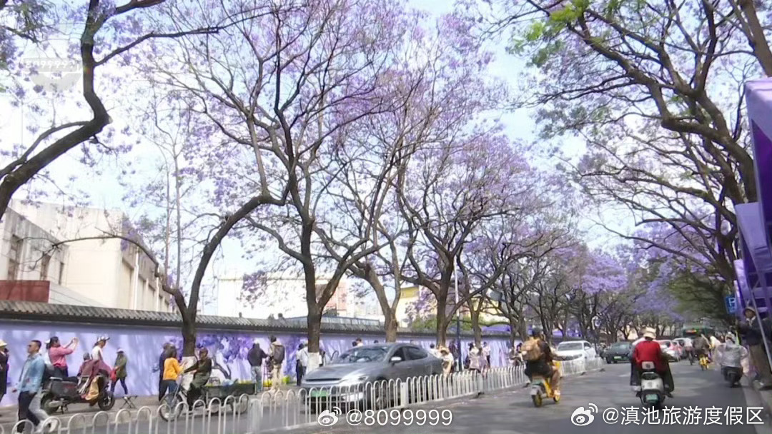 滇池旅游度假区