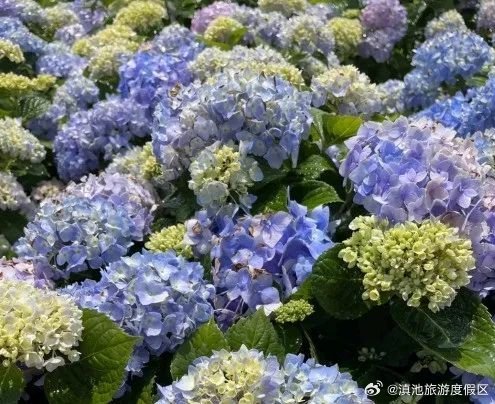 滇池旅游度假区