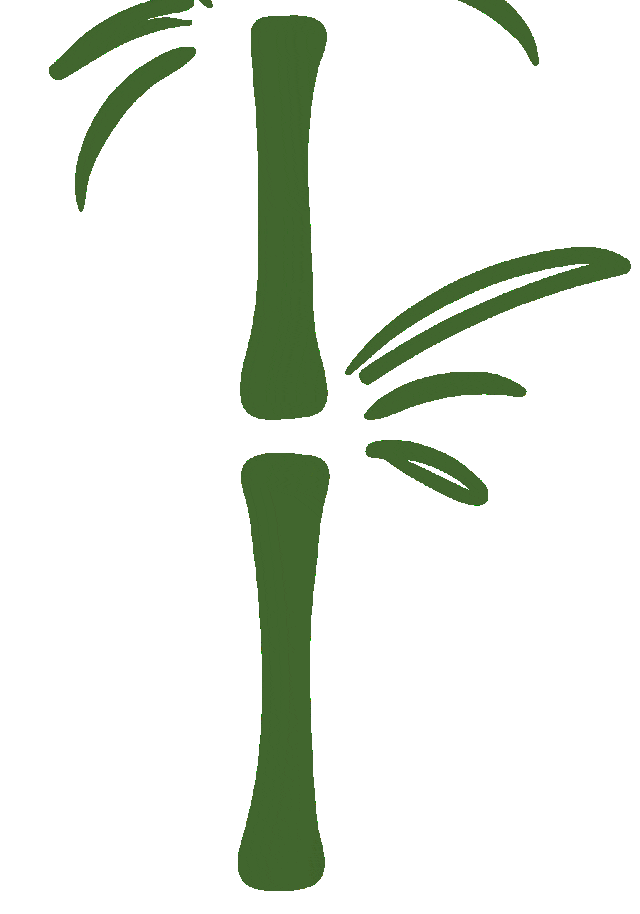 云南中医药大学第二附属医院