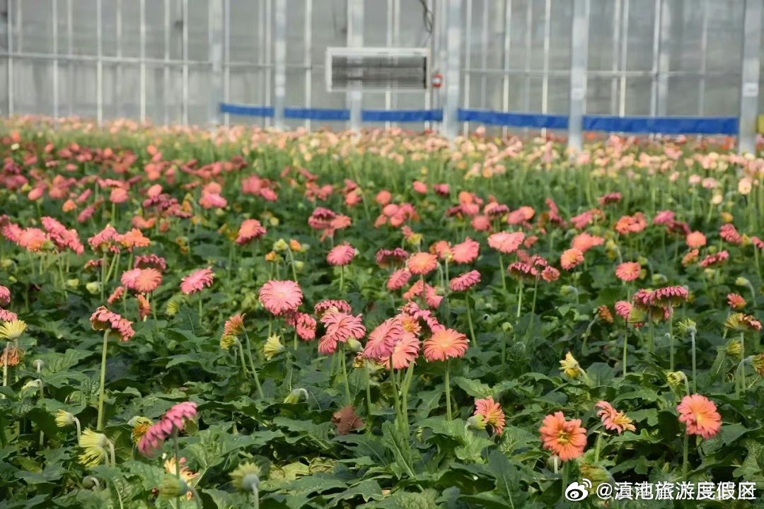 最高奖补1000万元！2025年度省级种业基地建设项目申报指南→