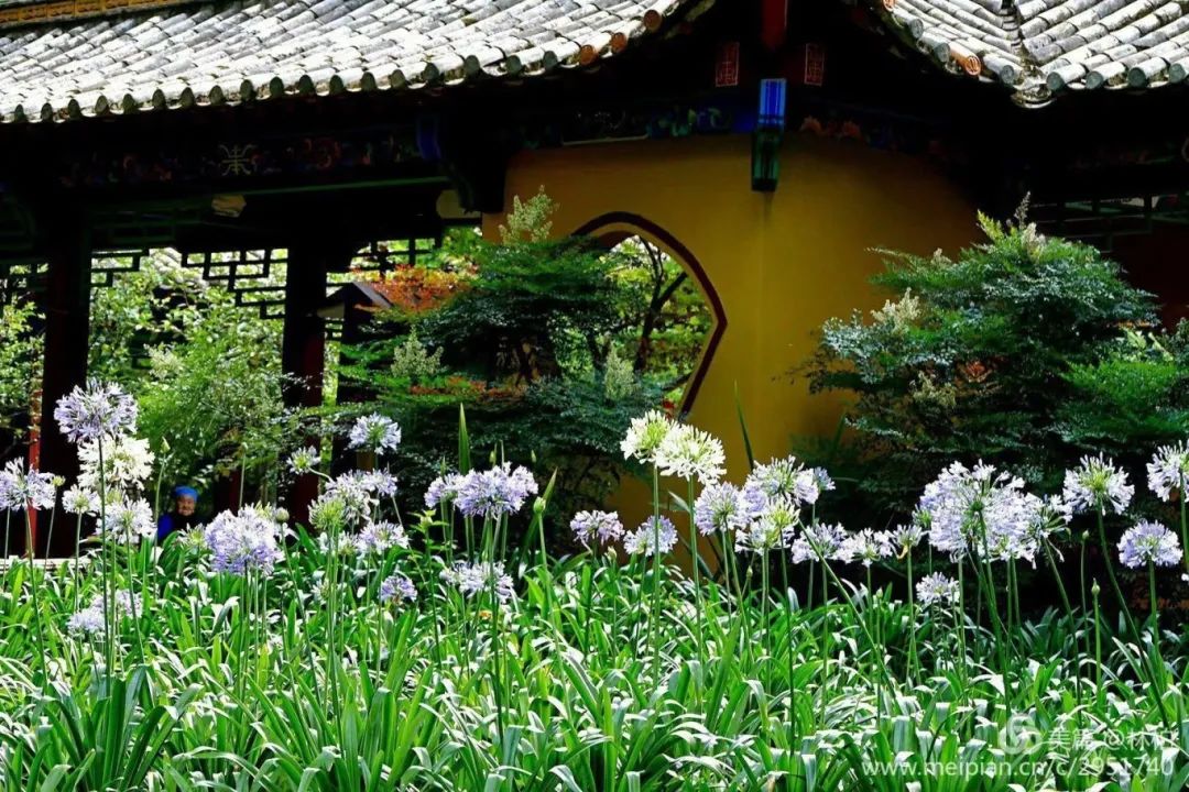 昆明市昙华寺公园