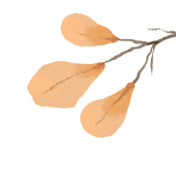 昆明市儿童医院