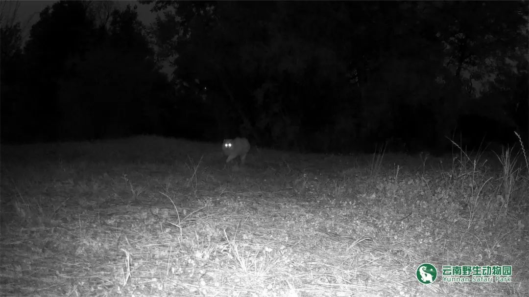 云南野生动物园