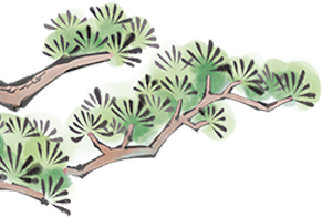 云南省中医医院