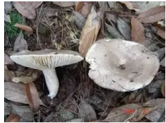 云南广播电视台