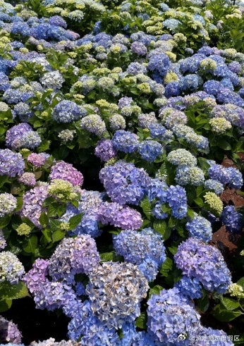 滇池旅游度假区