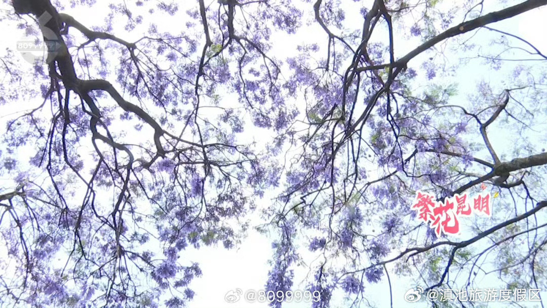 滇池旅游度假区