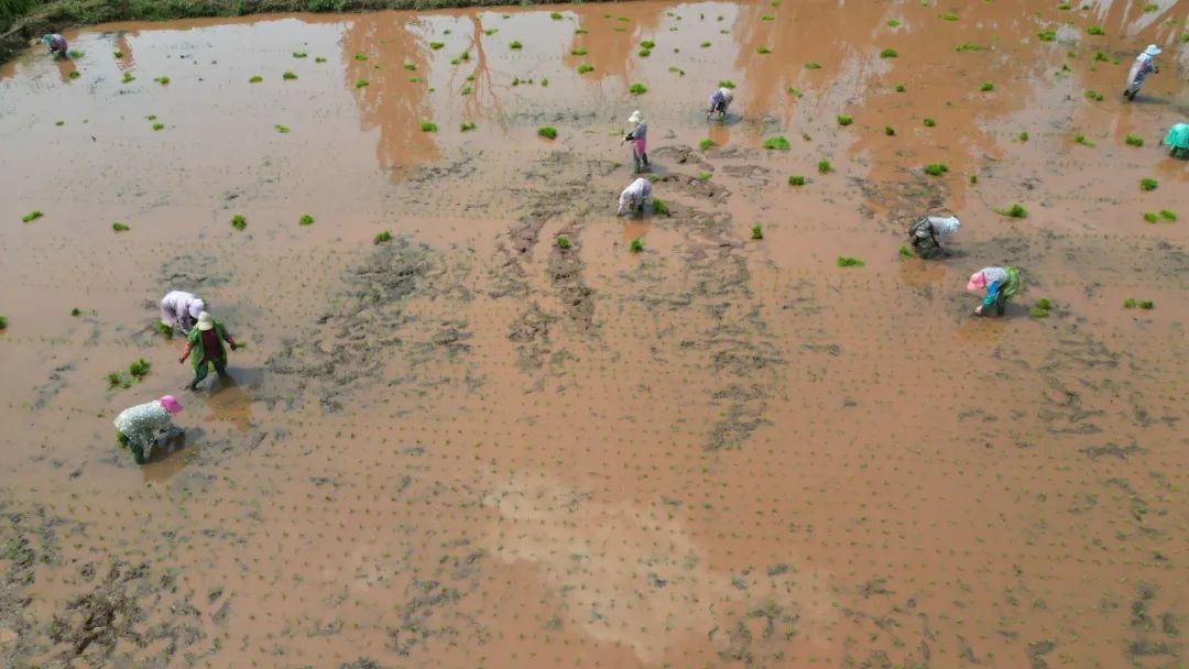 晋宁 诗意的栖居地