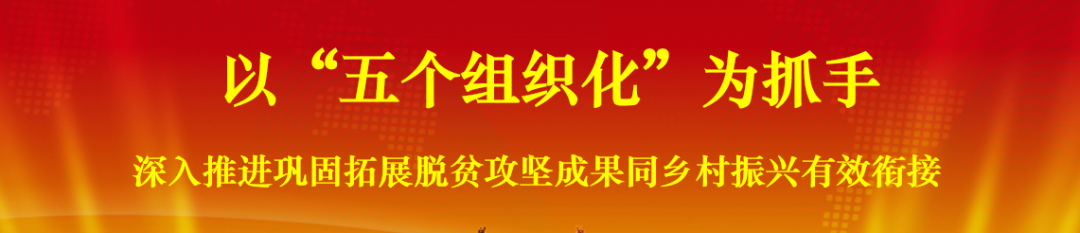 福贡先锋