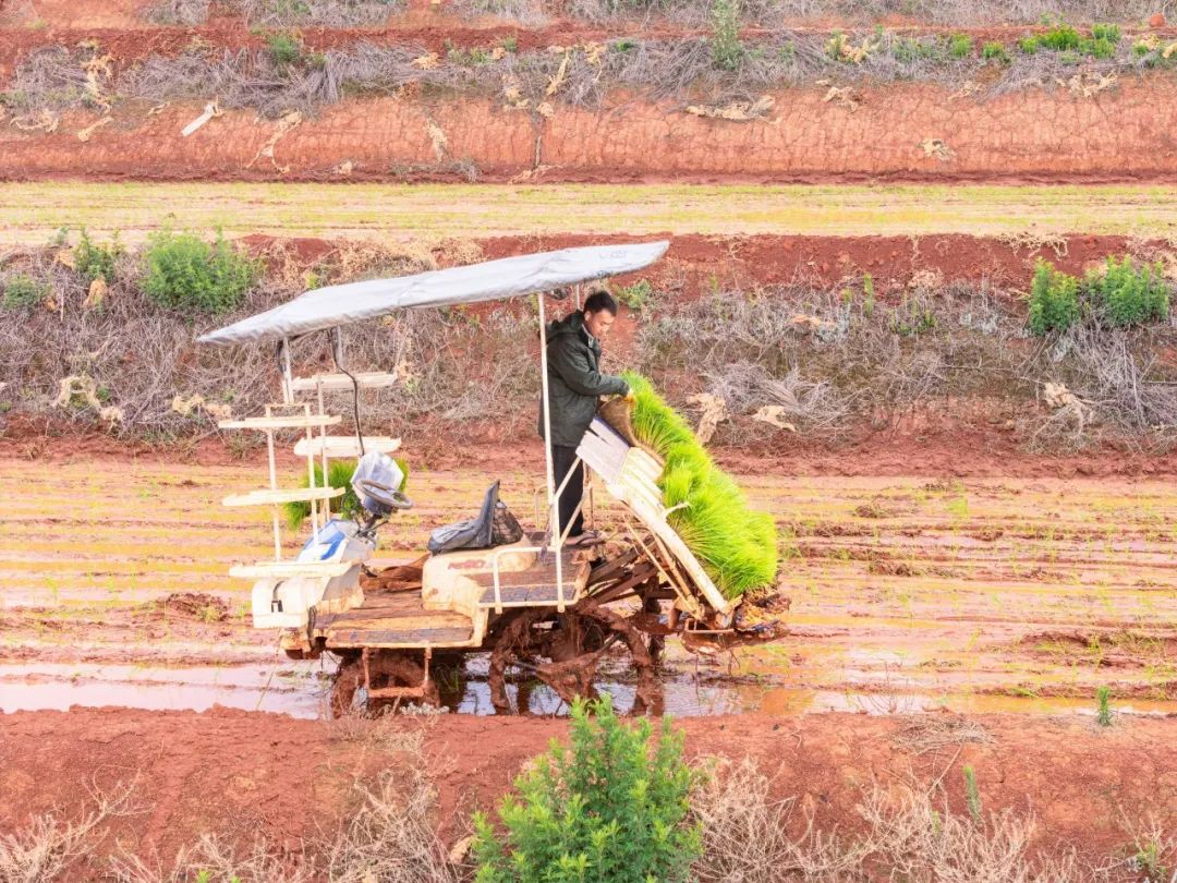 晋宁 诗意的栖居地