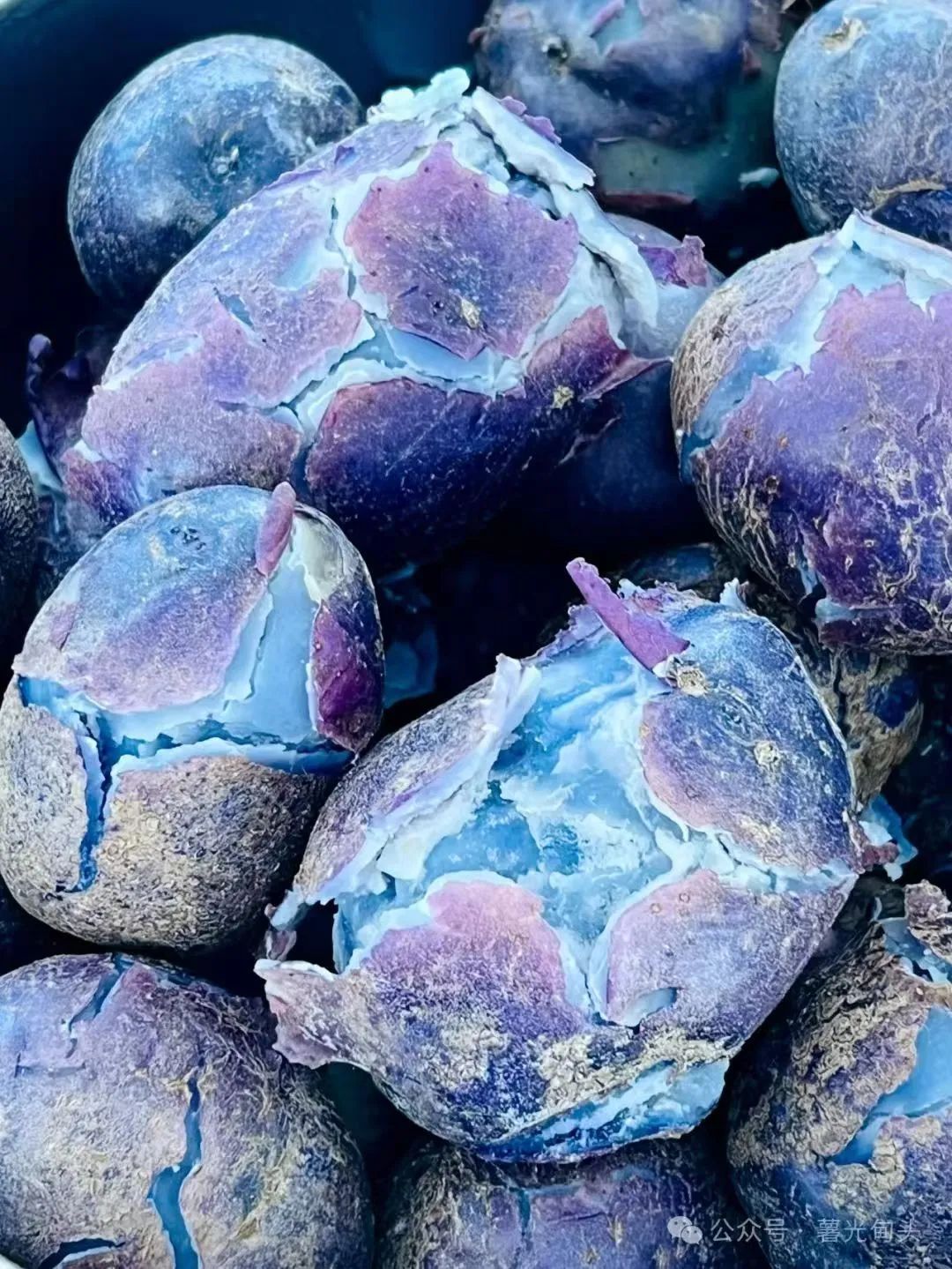 晋宁 诗意的栖居地