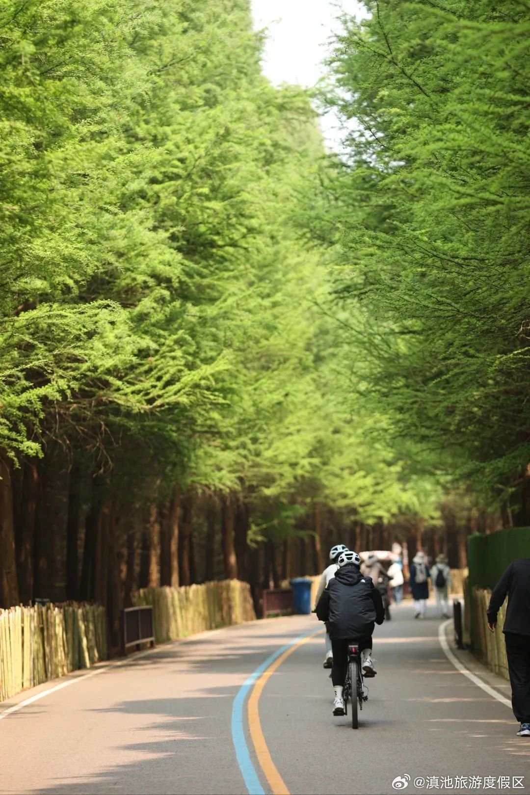 昆明骑行“天花板”！这3条宝藏骑行路线，就在滇池边→