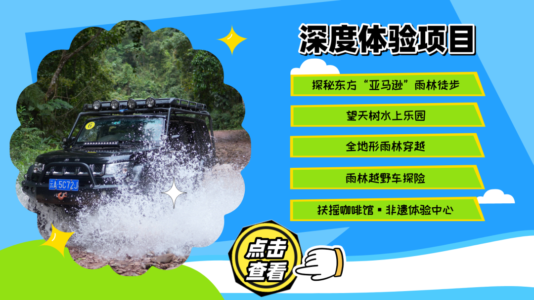 西双版纳望天树景区