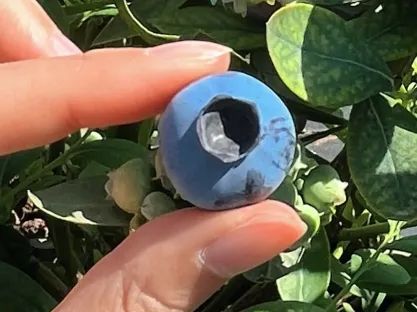 昆明阳宗海风景名胜区