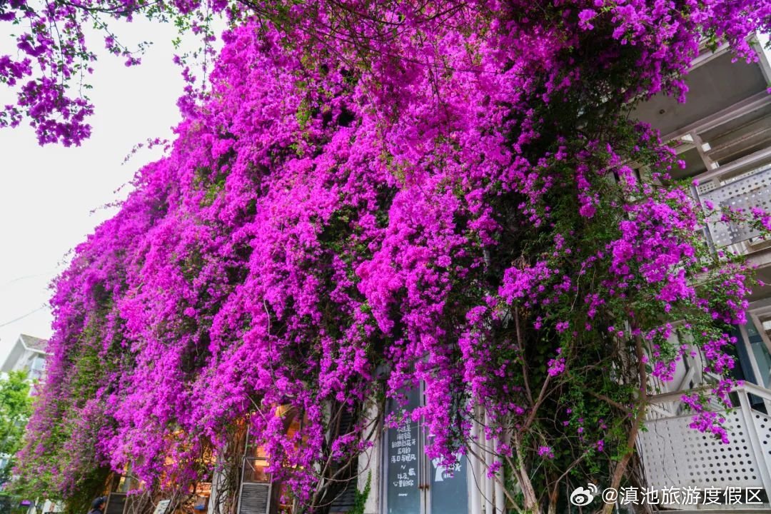 滇池旅游度假区