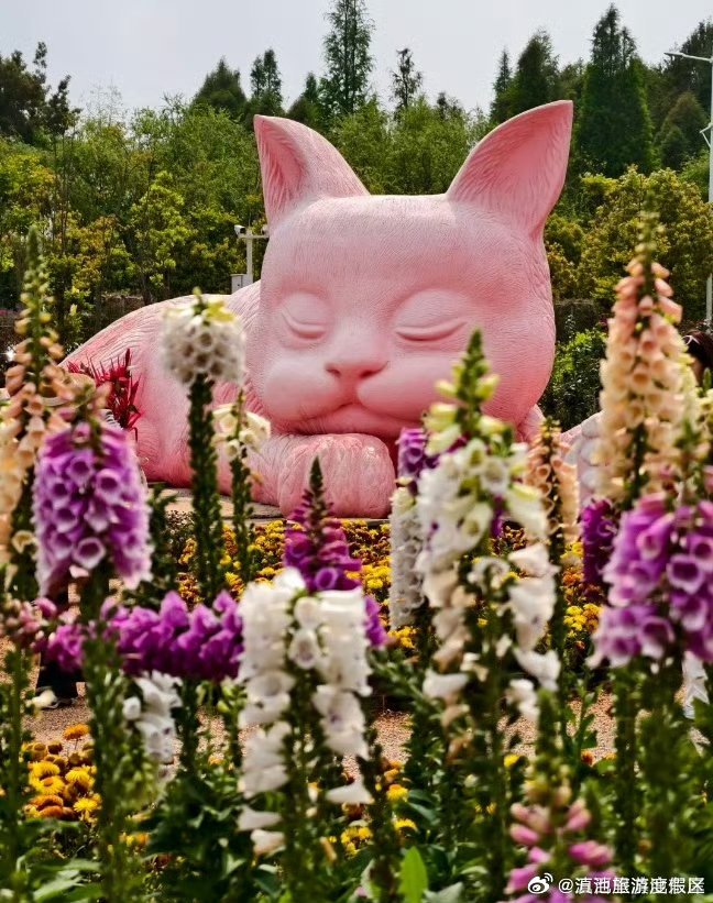 滇池旅游度假区