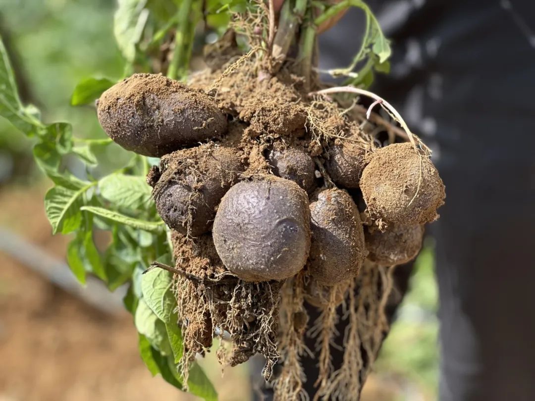 晋宁 诗意的栖居地
