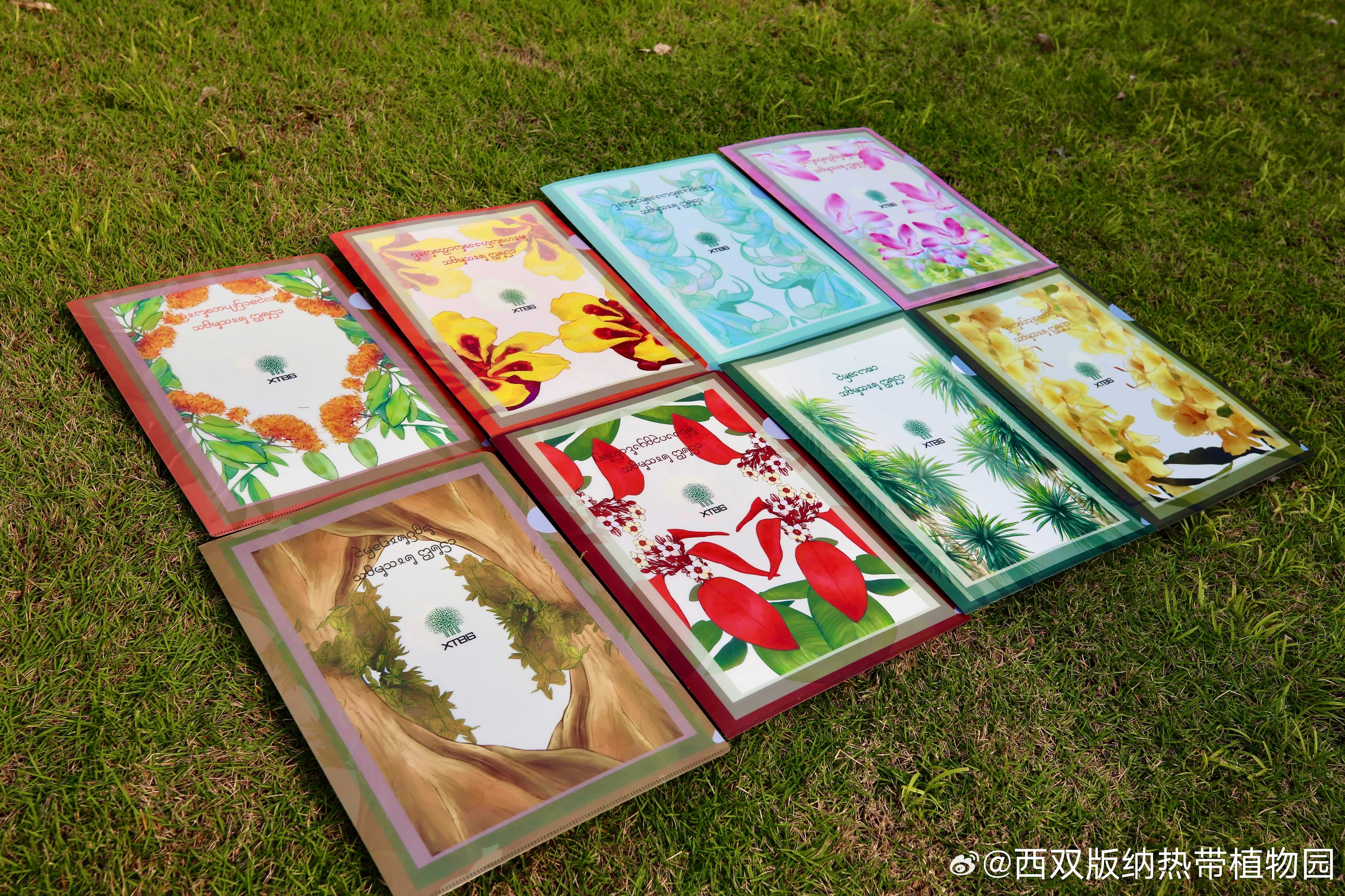 西双版纳热带植物园