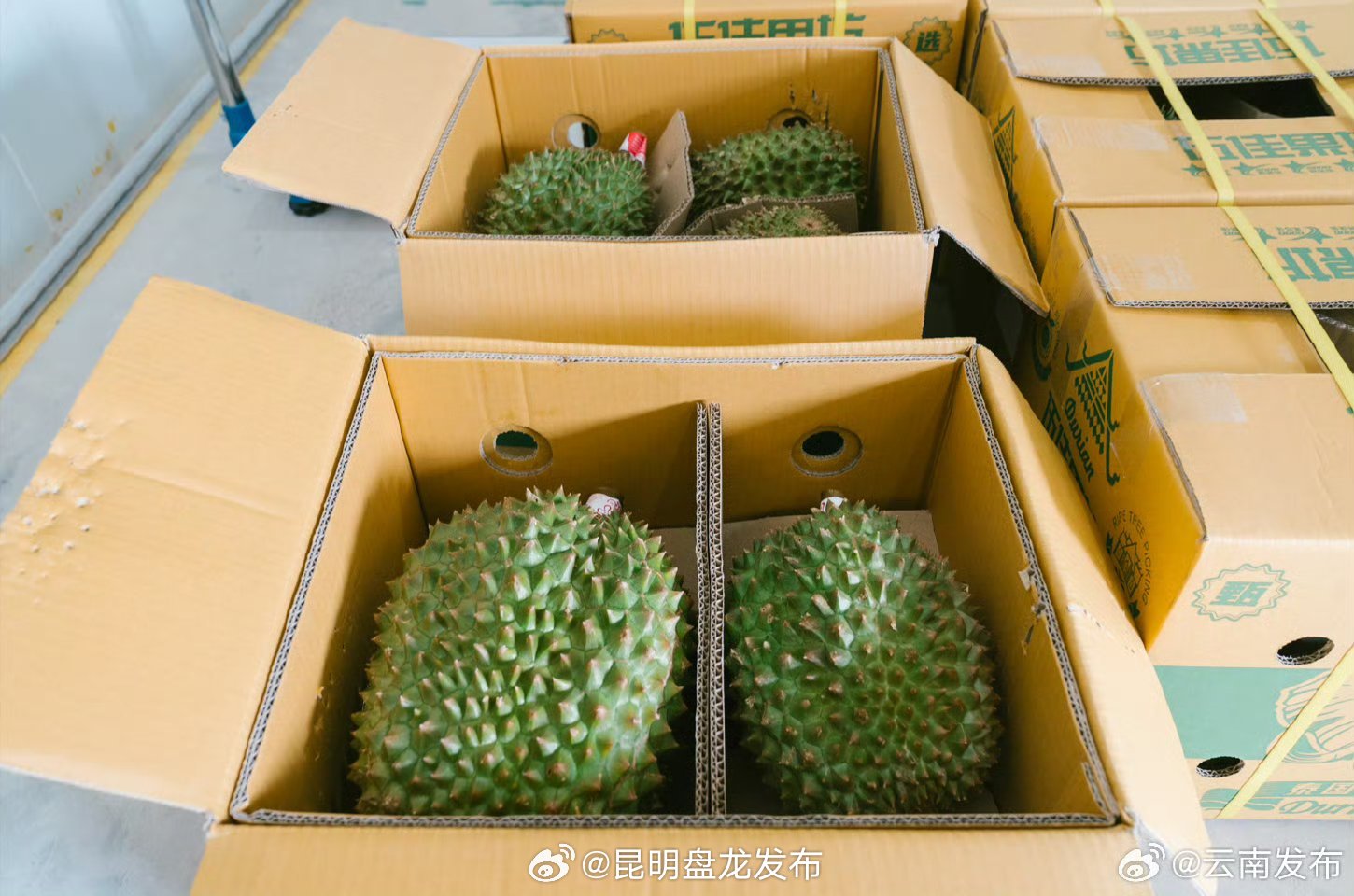 昆明盘龙发布