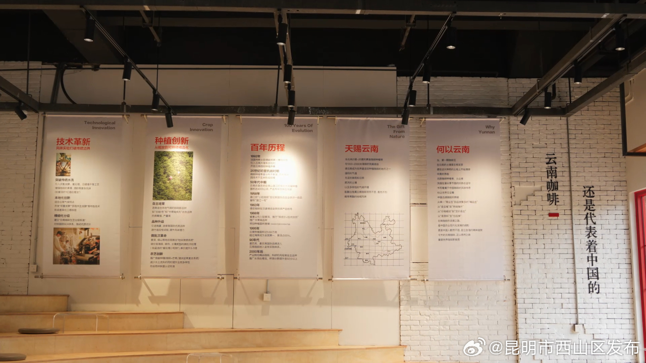 昆明市西山区发布