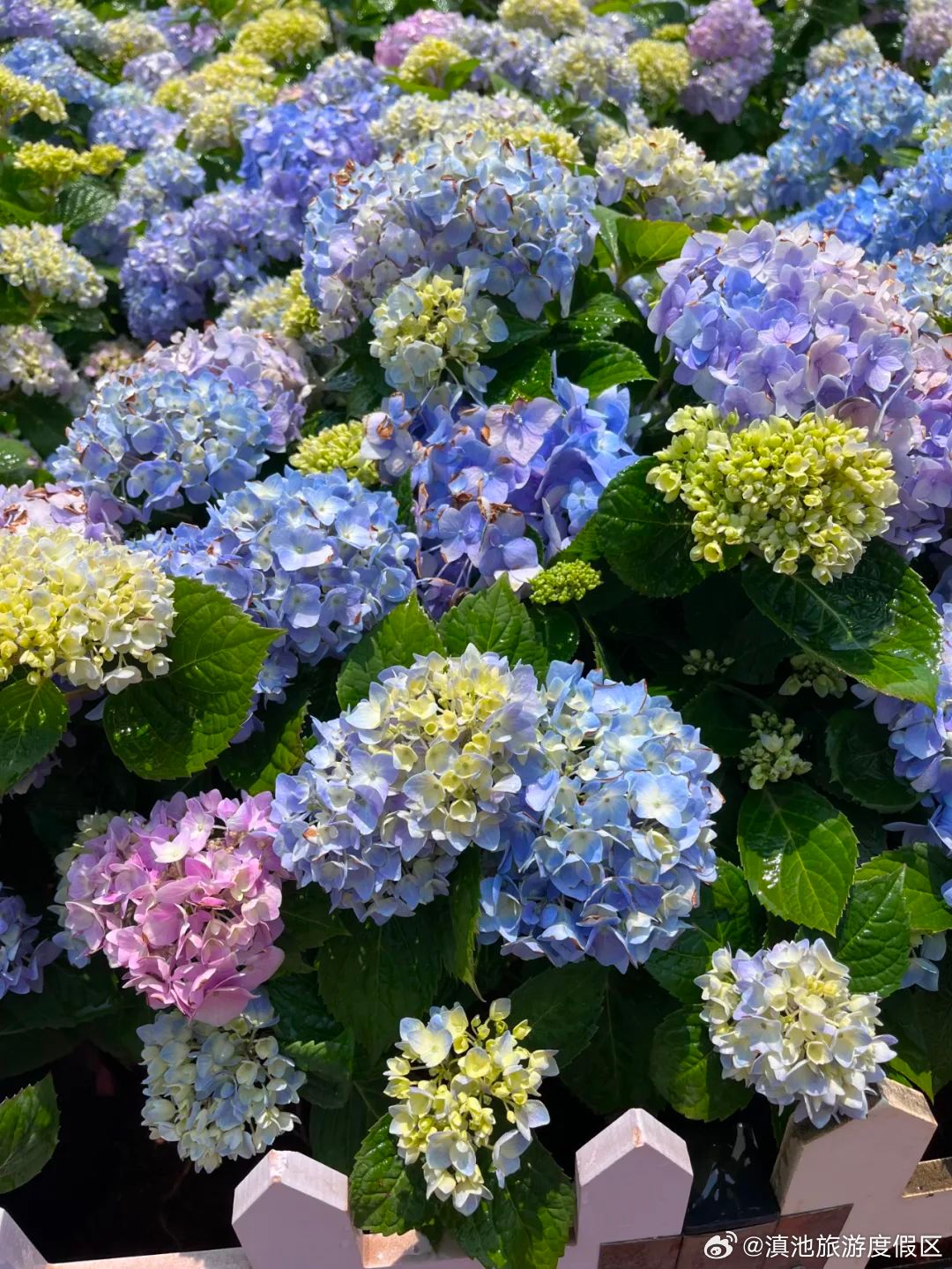 滇池旅游度假区